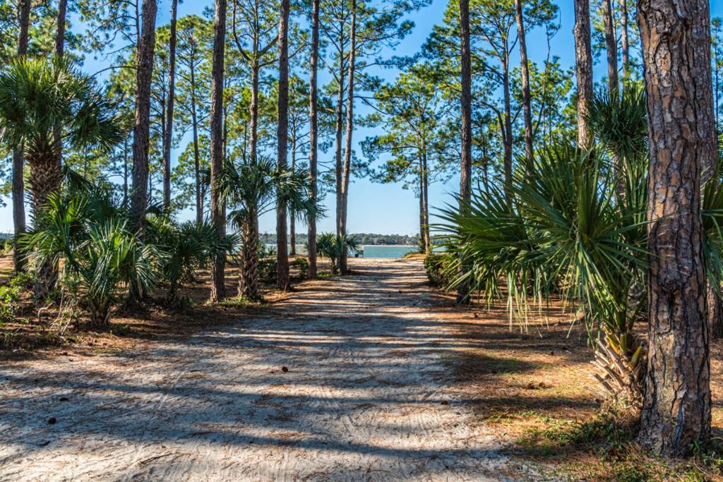 1686 Bluff Villas Renovated Sleeps 8 Walk To Salty Dog Sea Pines Hilton Head Island Zewnętrze zdjęcie